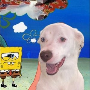 Meet your Posher, Annalese